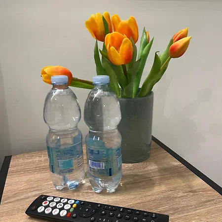 Apartmán Giardino Degli Ulivi *