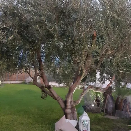 Apartamento Giardino Degli Ulivi Pompeia