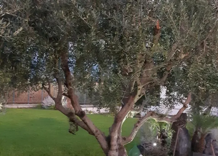 דירה Giardino Degli Ulivi פומפיי